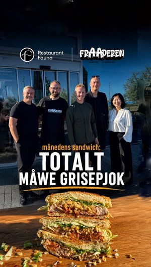 opslagsbillede