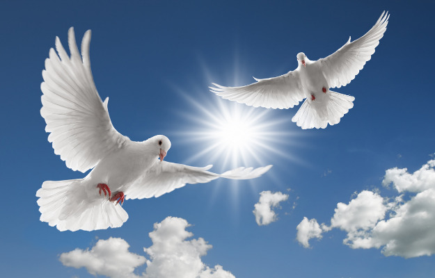 Mindeord - Else Marie Bisgaard Nielsen 