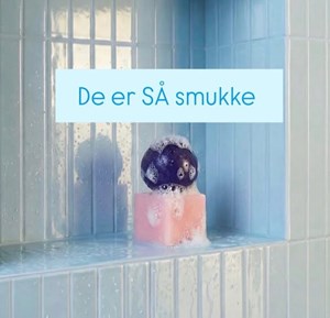 opslagsbillede