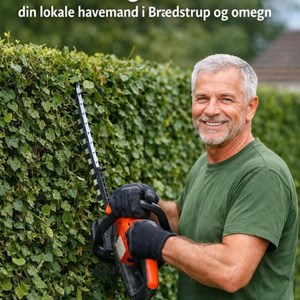 Opslagsbillede