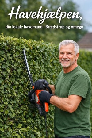 opslagsbillede