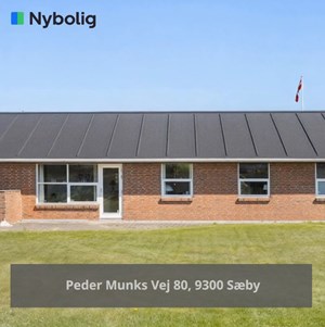 opslagsbillede