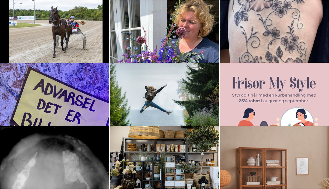 Nyt fra NordVestBO, Livingshop Holstebro, Skive Gokart og Paintball Center og 11 andre