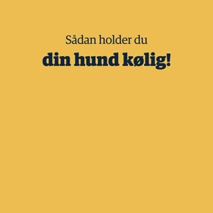Opslagsbillede