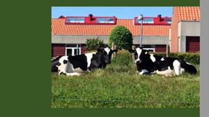 Fejring af ny årbog: Bogreception i Arkivet