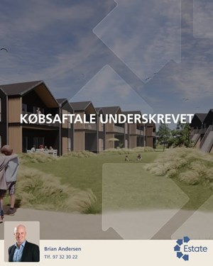 opslagsbillede