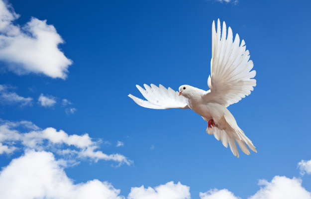 Mindeord - Niels Erik Bech / NILLER