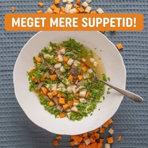 opslagsbillede
