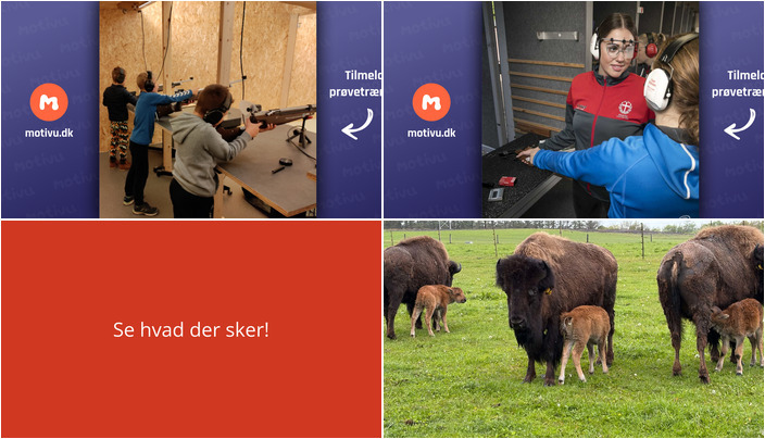 Oplev skydetræning og bison eventyr i Videbæk den kommende uge