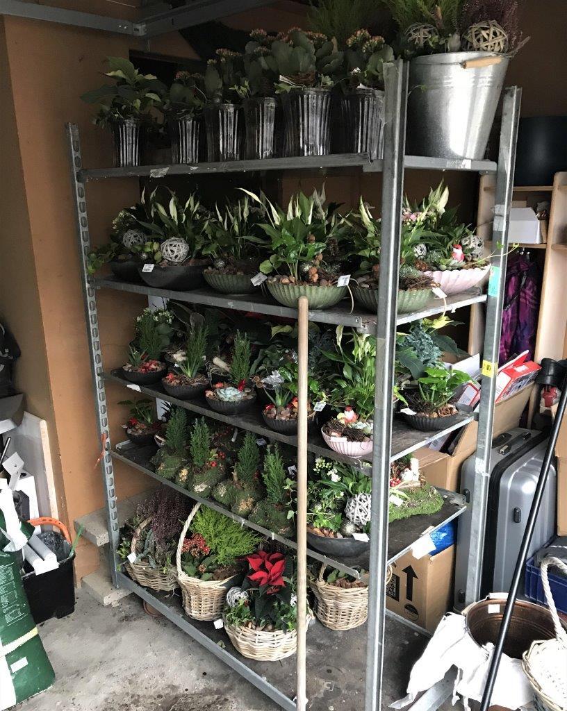 Plantedesigner lavede garagen til ”hjemmekontor” under nordjysk nedlukning