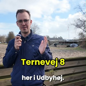Opslagsbillede