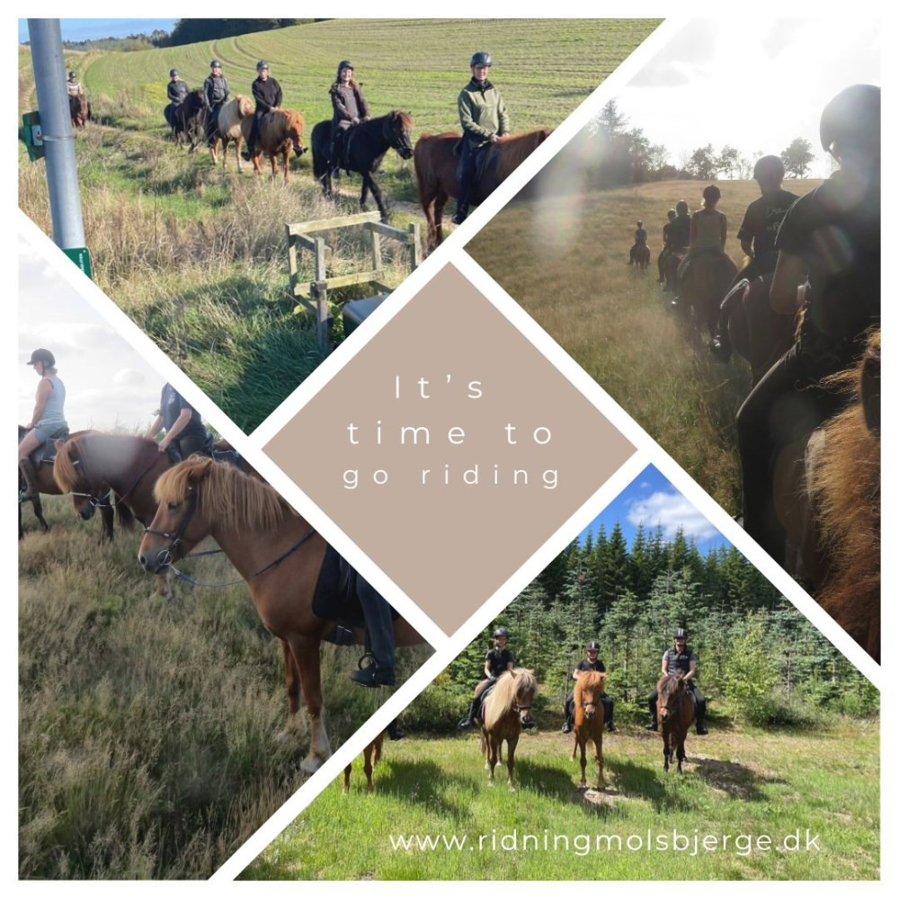 Oplev en dag med yoga, brunch og ridetur i Mols Bjerge