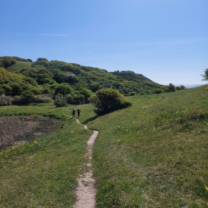 Det nyeste på Hammels opslagstavle