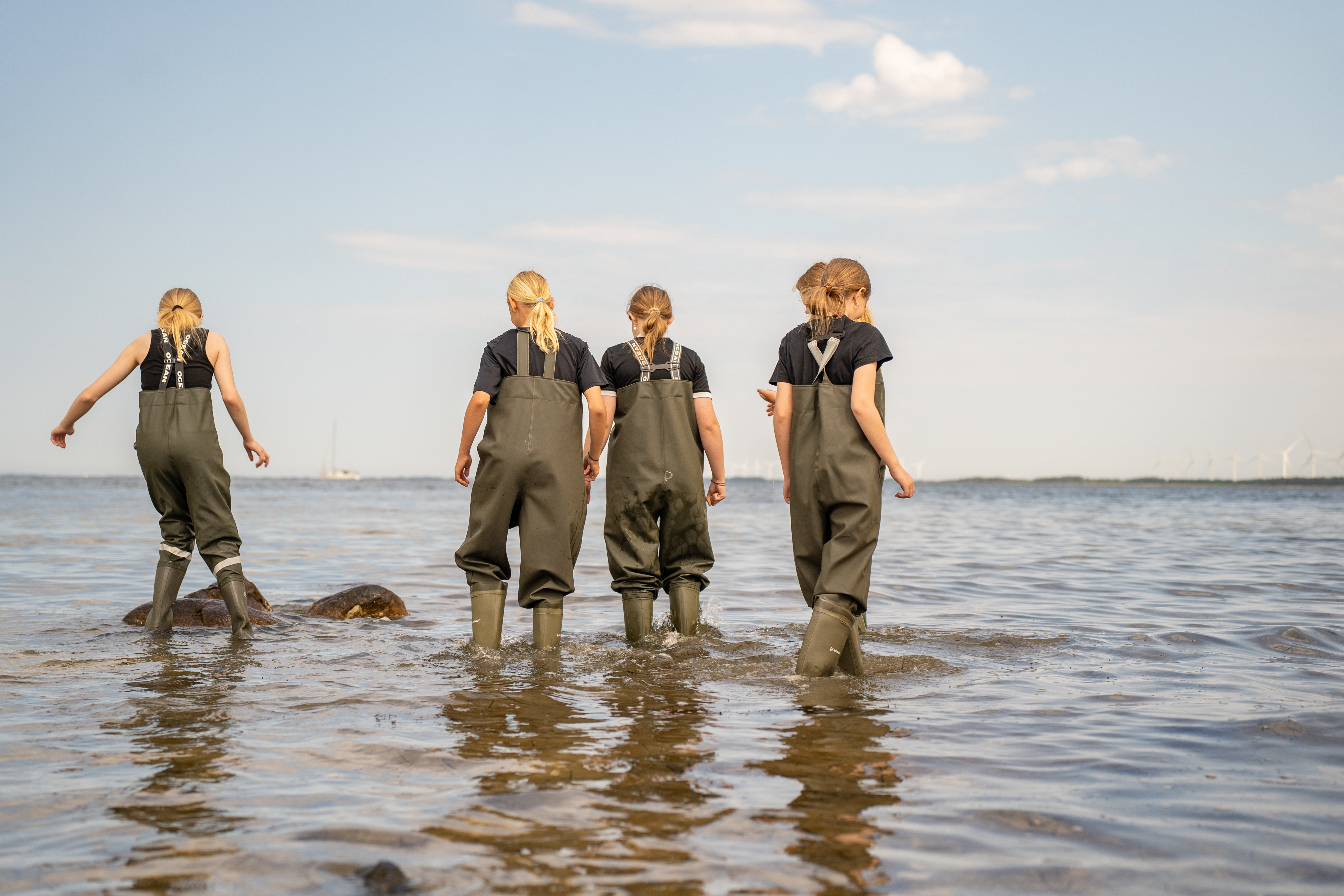 Giv liv til Limfjorden: Etablering af stenrev i Løgstør