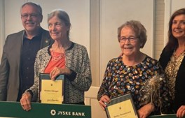 De nominerede til Vejles frivilligpriser 2022 er…