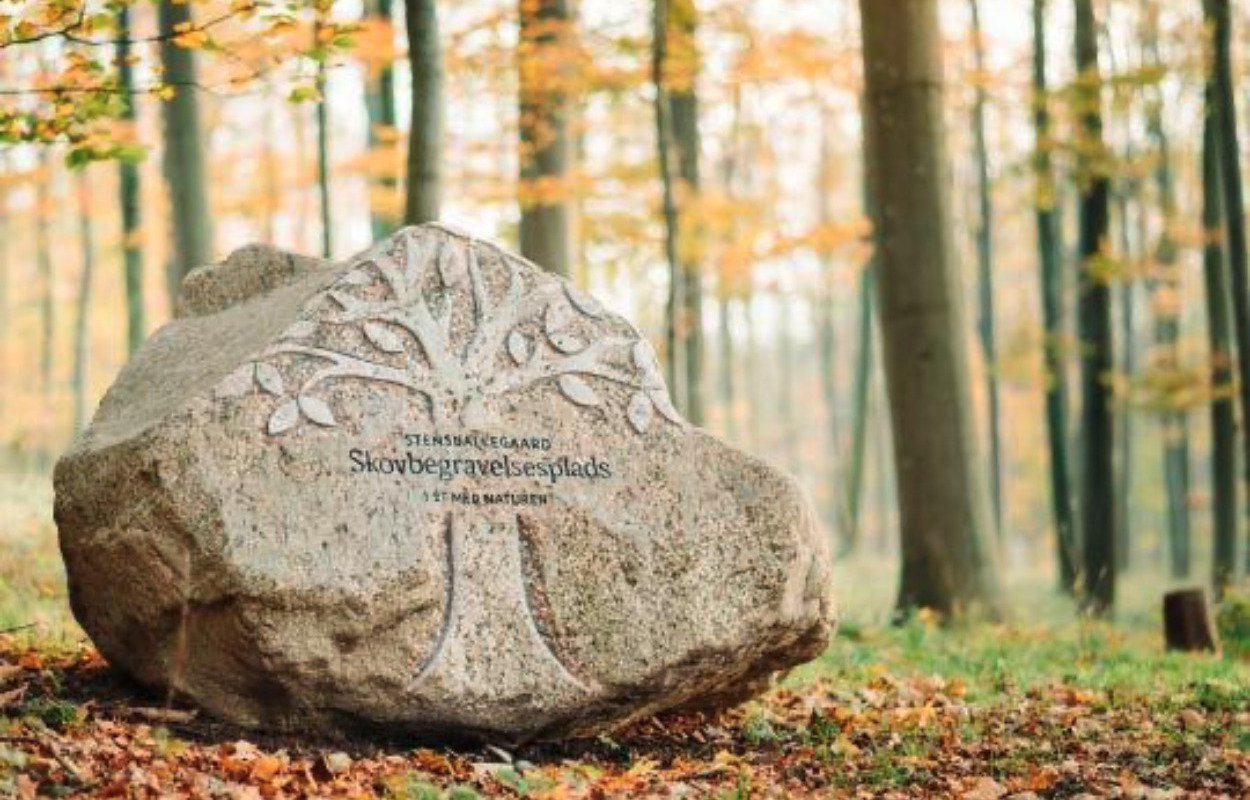 Skovbegravelse tilbyder et naturligt hvilested i Stensballegaard Skov: ”Det tiltaler mange at blive ét med naturen”