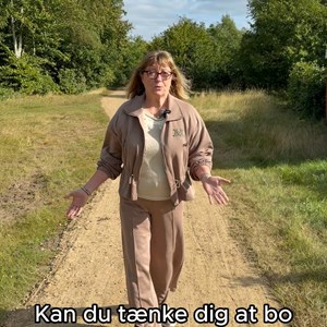 Opslagsbillede