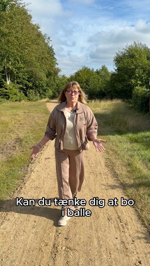 opslagsbillede