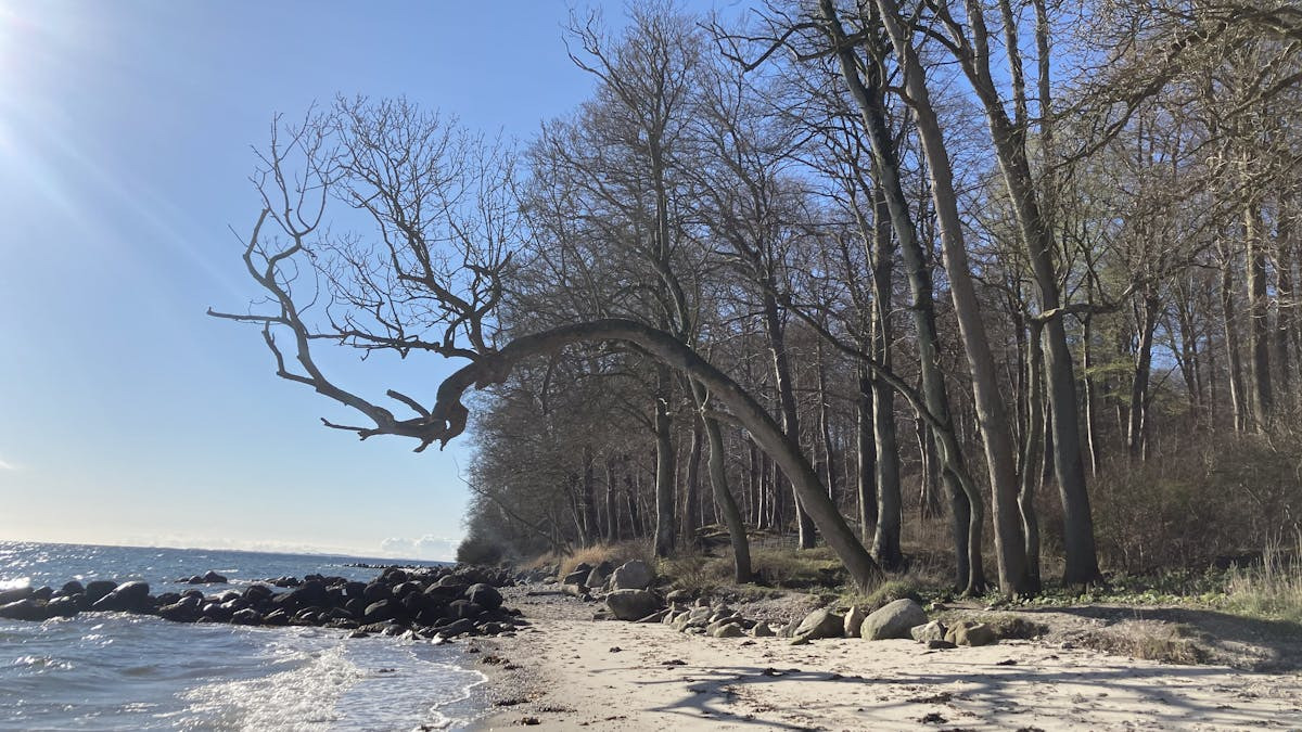 Meditativ vandretur langs Aarhus' naturskønne omgivelser