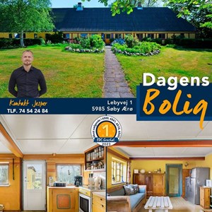 Opslagsbillede