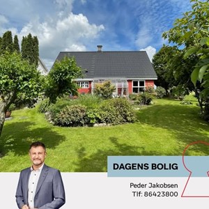 Opslagsbillede
