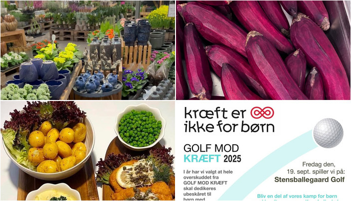 Nyt fra Restaurant Kystens Perle, Midtjysk blomstermarked , Frændes Madværk og 2 andre