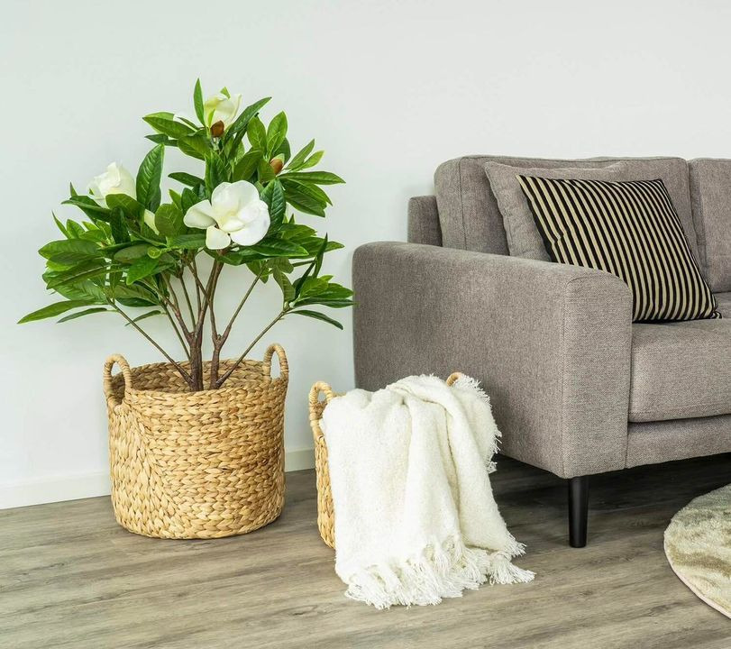 Nyt på opslagstavlen i Frederikshavn