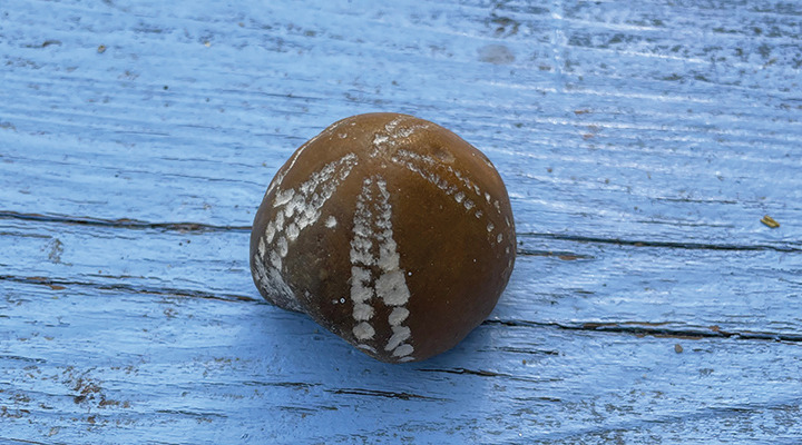 Foredrag om taknemmelighed og viljestyrke med Oliver Kitzberg