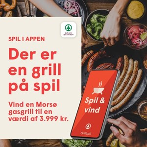 Opslagsbillede