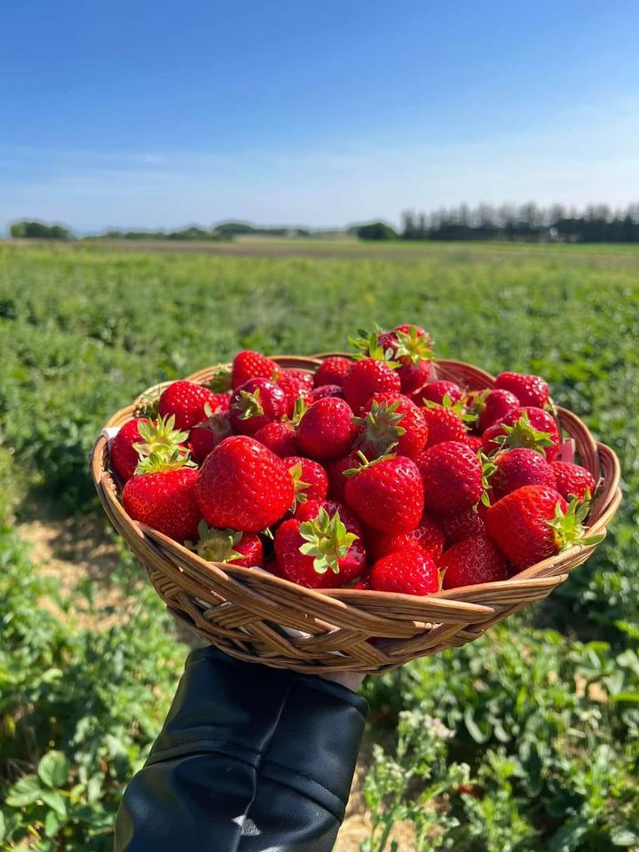 Hold dig ajour med dagens opdateringer fra Sæby