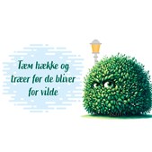 Tæm hække og træer før de bliver for vilde