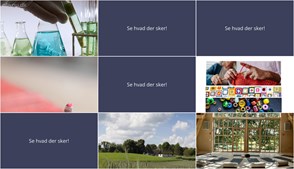 Ugens begivenheder i Hvalsø: Fra naturvidenskabelige foredrag til kreative workshops