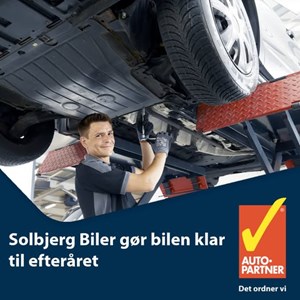 opslagsbillede