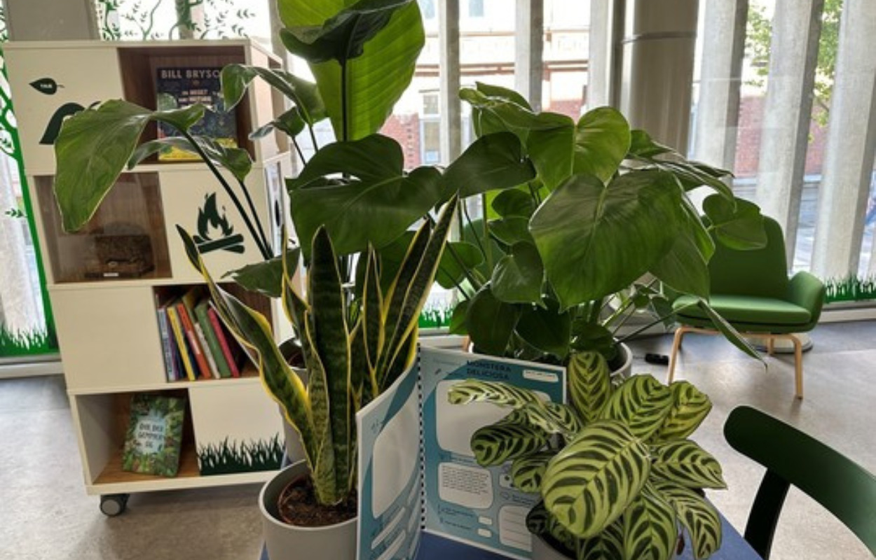 Lån en plante fra på Randers Bibliotek