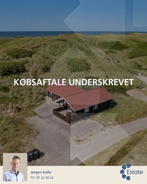 opslagsbillede