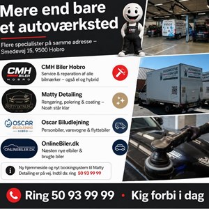 Opslagsbillede