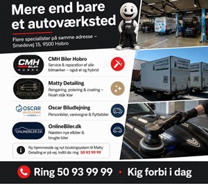 opslagsbillede