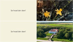 Udforsk kunsten og historien i Vemb denne weekend