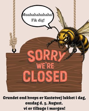 opslagsbillede