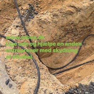 Opslagsbillede