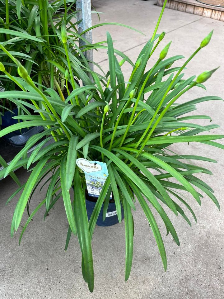 Hold dig ajour med dagens opdateringer fra Odder