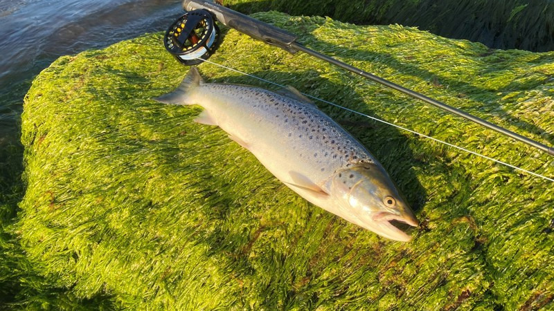 Guidet fisketur ved Vesterhave Strand tilbyder læring og eventyr i tusmørketid