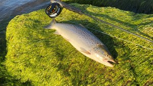 Guidet fisketur ved Vesterhave Strand tilbyder læring og eventyr i tusmørketid