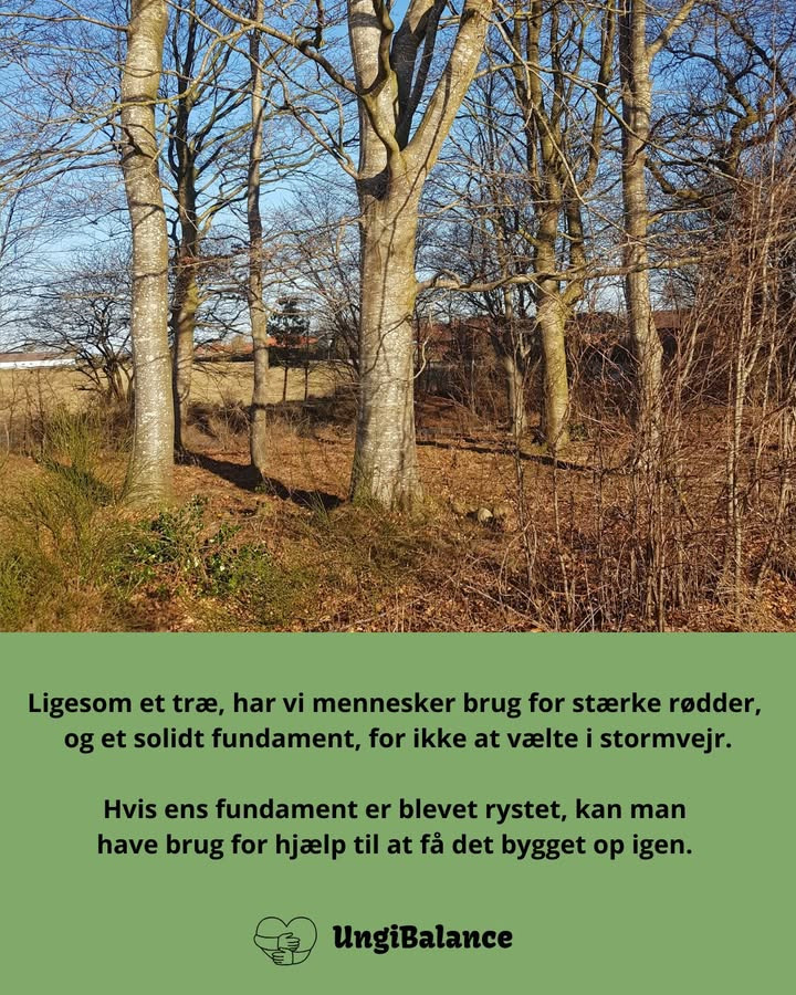 Nyt fra Ung i Balance