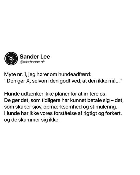 Min Bedste Ven Hundetræning deler tre myter om hundeadfærd