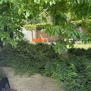 Opslagsbillede