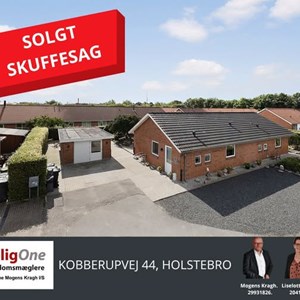 Opslagsbillede