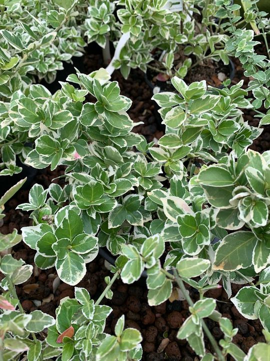 Hold dig ajour med dagens opdateringer fra Brønderslev