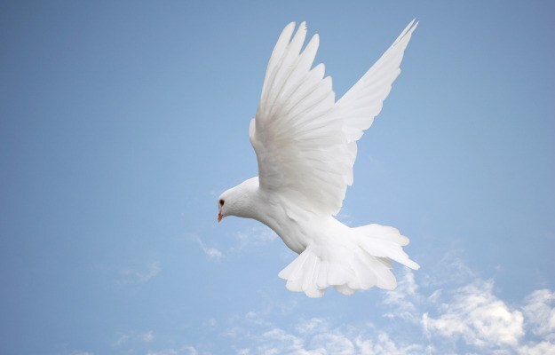 Mindeord - Thomas Leegaard