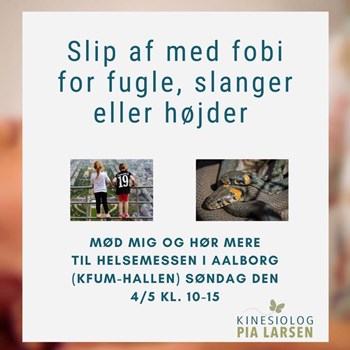 Opslagsbillede